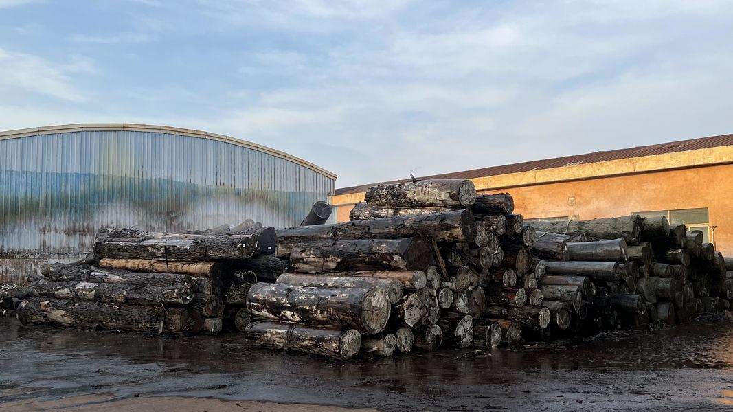 Dongguan Lingfeng Wood Industry Co., Ltd. lini produksi pabrikan