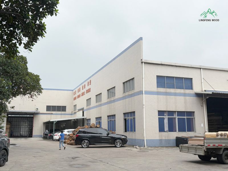 Dongguan Lingfeng Wood Industry Co., Ltd. lini produksi pabrikan