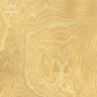 Proses Pemotongan Swirl Ash Veneer 0,45mm Untuk Kelas B/AB/A/AA